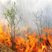 Возгорание сухой травы в Троицком административном округе